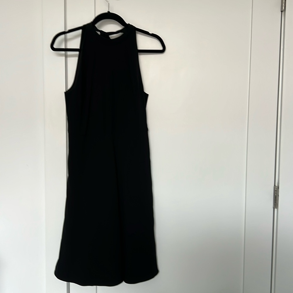 Aritzia Babaton a-line flare dress